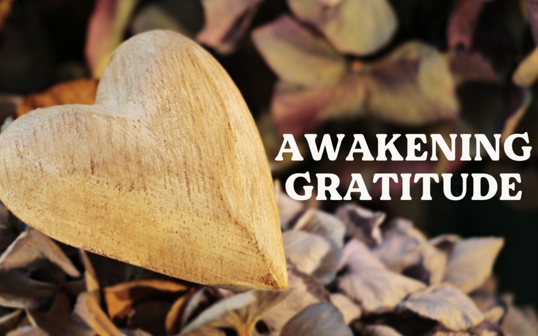 Awakening Gratitude